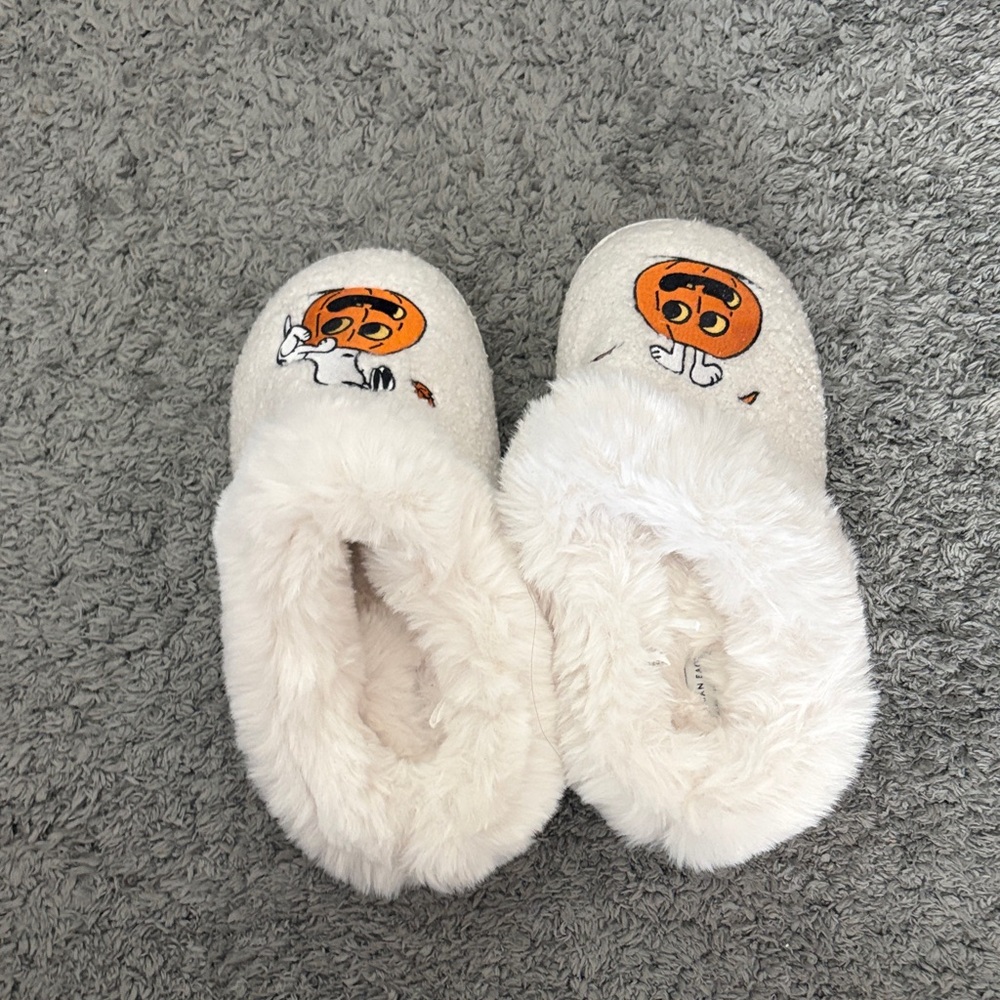 American eagle snoopy slippers